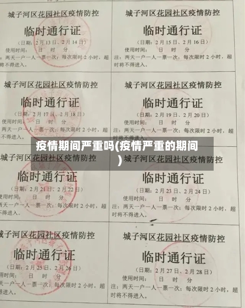 疫情期间严重吗(疫情严重的期间)-第3张图片