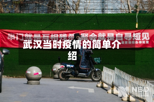武汉当时疫情的简单介绍-第3张图片