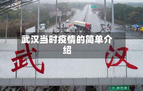 武汉当时疫情的简单介绍
