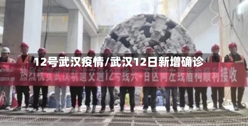 12号武汉疫情/武汉12日新增确诊-第2张图片