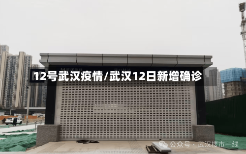 12号武汉疫情/武汉12日新增确诊-第3张图片