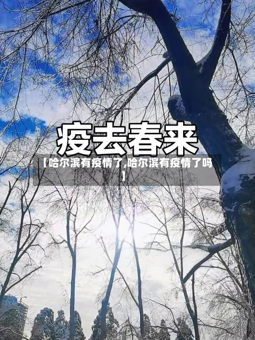 【哈尔滨有疫情了,哈尔滨有疫情了吗】-第3张图片