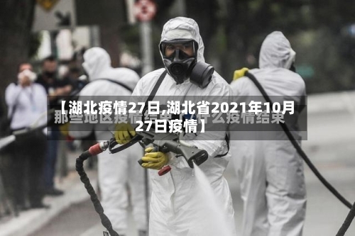 【湖北疫情27日,湖北省2021年10月27日疫情】-第3张图片