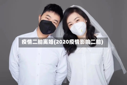 疫情二胎离婚(2020疫情影响二胎)-第2张图片