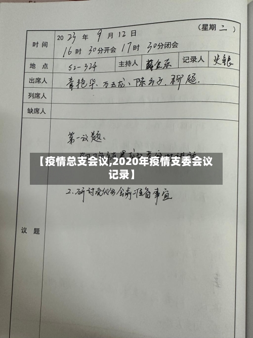 【疫情总支会议,2020年疫情支委会议记录】-第2张图片
