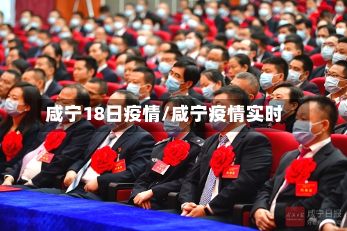 咸宁18日疫情/咸宁疫情实时