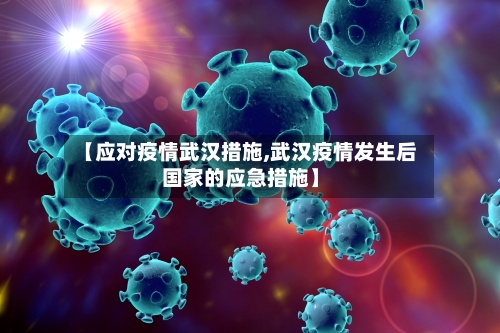 【应对疫情武汉措施,武汉疫情发生后国家的应急措施】