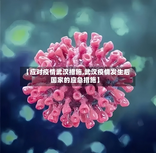 【应对疫情武汉措施,武汉疫情发生后国家的应急措施】-第3张图片
