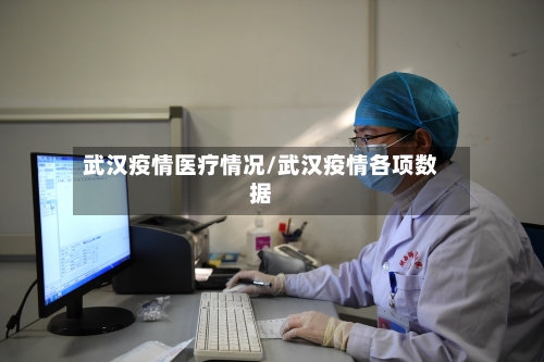 武汉疫情医疗情况/武汉疫情各项数据