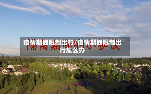 疫情期间限制出行/疫情期间限制出行怎么办