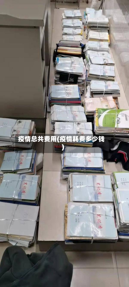 疫情总共费用(疫情耗费多少钱)