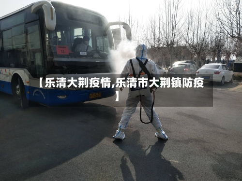 【乐清大荆疫情,乐清市大荆镇防疫】