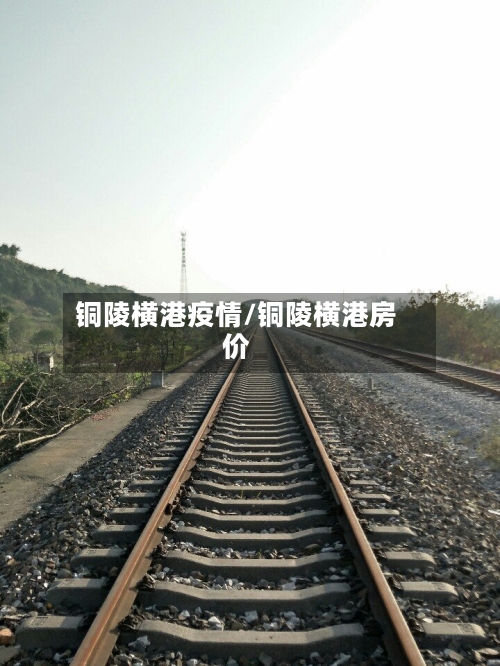 铜陵横港疫情/铜陵横港房价-第2张图片