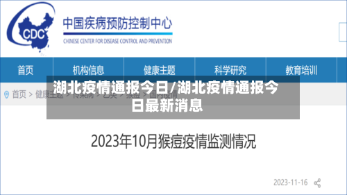 湖北疫情通报今日/湖北疫情通报今日最新消息-第2张图片