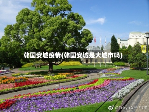 韩国安城疫情(韩国安城是大城市吗)-第2张图片