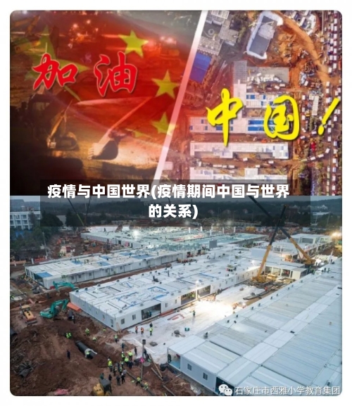疫情与中国世界(疫情期间中国与世界的关系)-第2张图片