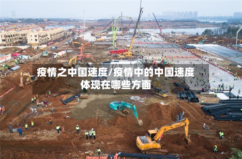 疫情之中国速度/疫情中的中国速度体现在哪些方面