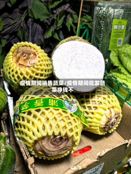 疫情期间销售蔬菜/疫情期间批发蔬菜挣钱不-第2张图片