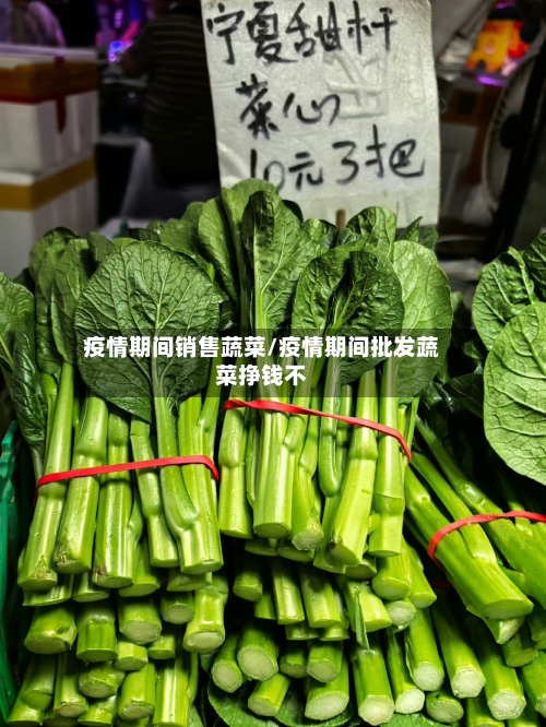 疫情期间销售蔬菜/疫情期间批发蔬菜挣钱不