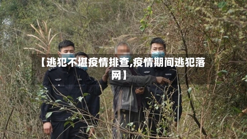 【逃犯不堪疫情排查,疫情期间逃犯落网】