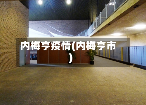 内梅亨疫情(内梅亨市)
