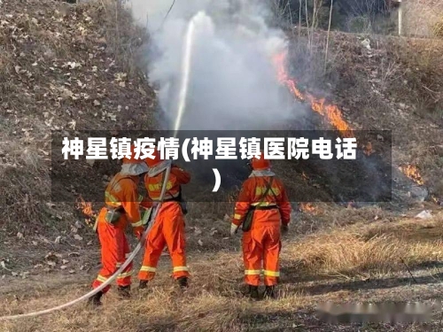 神星镇疫情(神星镇医院电话)