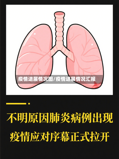 疫情进展情况图/疫情进展情况汇报-第3张图片