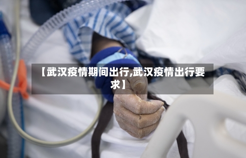 【武汉疫情期间出行,武汉疫情出行要求】