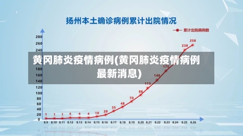 黄冈肺炎疫情病例(黄冈肺炎疫情病例最新消息)