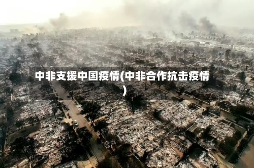 中非支援中国疫情(中非合作抗击疫情)-第3张图片