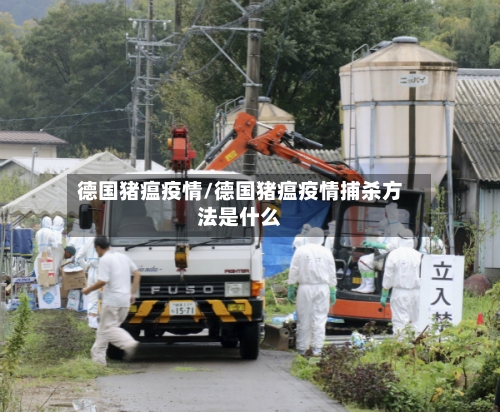 德国猪瘟疫情/德国猪瘟疫情捕杀方法是什么