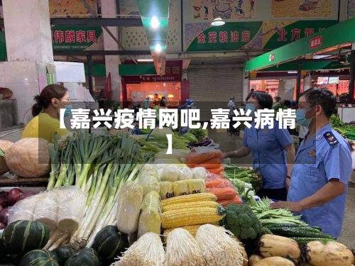 【嘉兴疫情网吧,嘉兴病情】