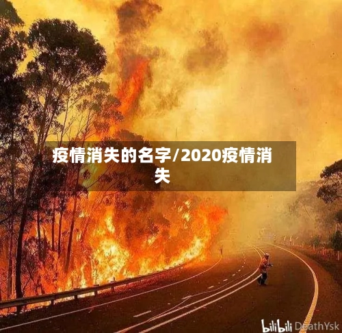 疫情消失的名字/2020疫情消失-第2张图片