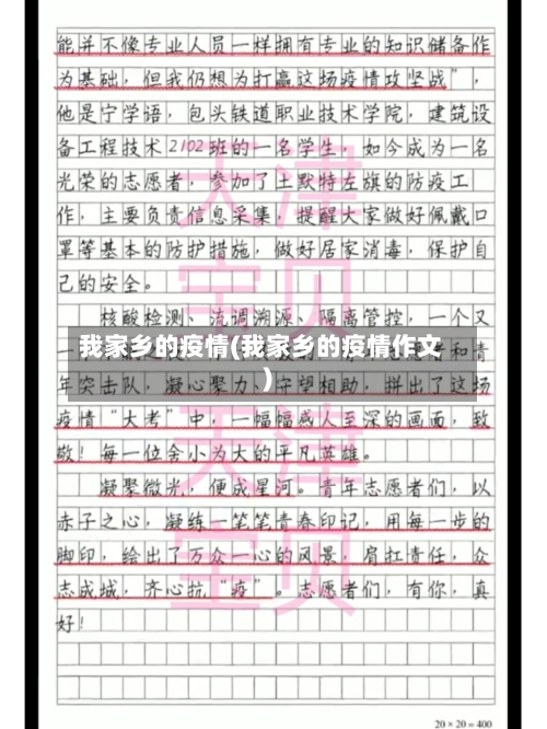 我家乡的疫情(我家乡的疫情作文)-第3张图片