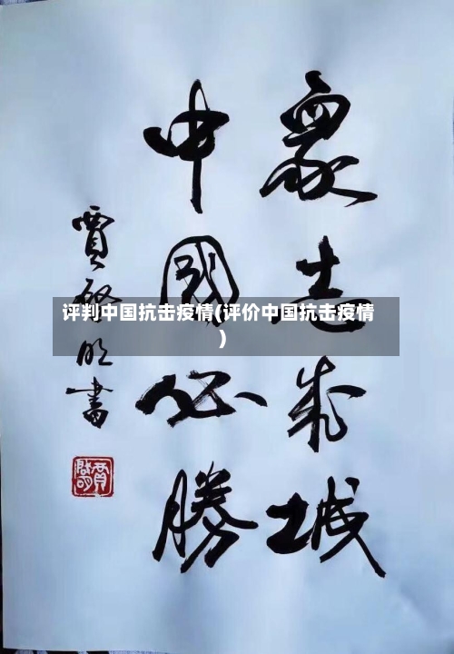 评判中国抗击疫情(评价中国抗击疫情)-第2张图片