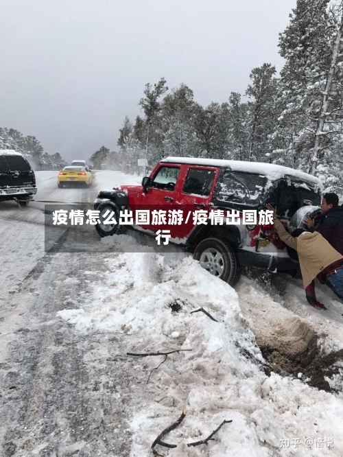 疫情怎么出国旅游/疫情出国旅行-第3张图片
