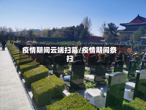疫情期间云端扫墓/疫情期间祭扫