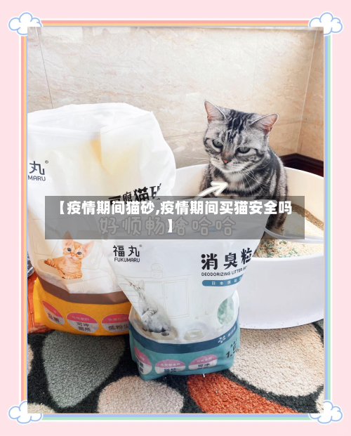 【疫情期间猫砂,疫情期间买猫安全吗】