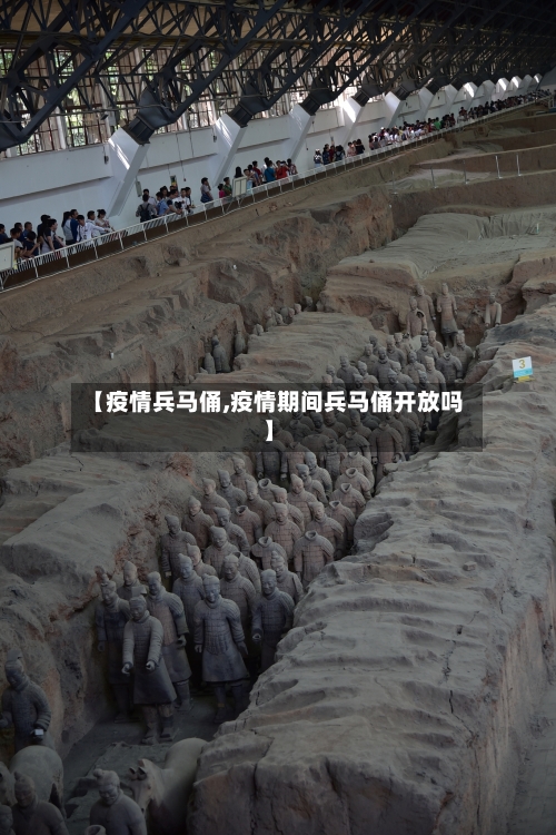 【疫情兵马俑,疫情期间兵马俑开放吗】-第2张图片