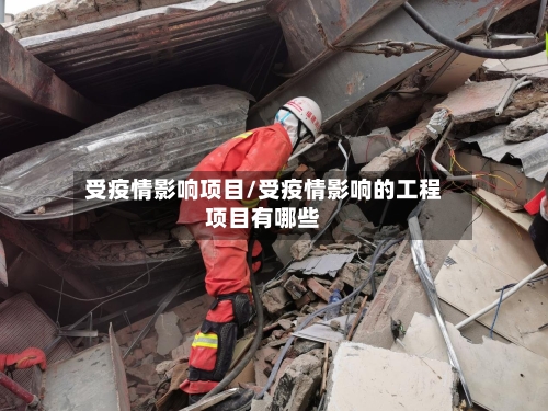 受疫情影响项目/受疫情影响的工程项目有哪些