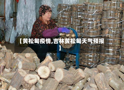 【黄松甸疫情,吉林黄松甸天气预报】