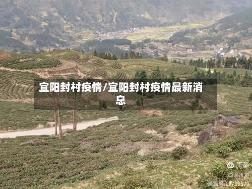 宜阳封村疫情/宜阳封村疫情最新消息