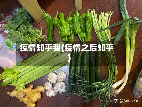 疫情知乎我(疫情之后知乎)-第2张图片