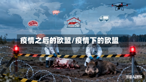 疫情之后的欧盟/疫情下的欧盟