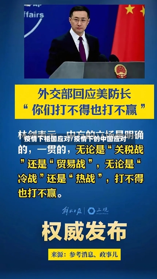 疫情下祖国应对/疫情下的中国应对-第3张图片
