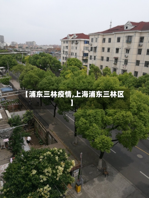 【浦东三林疫情,上海浦东三林区】