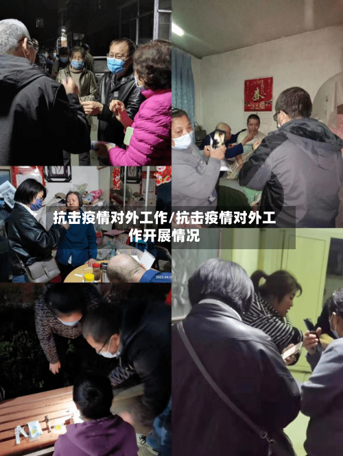 抗击疫情对外工作/抗击疫情对外工作开展情况