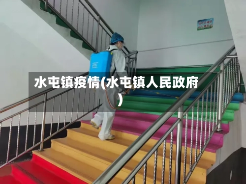 水屯镇疫情(水屯镇人民政府)