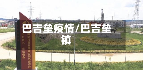 巴吉垒疫情/巴吉垒镇-第2张图片