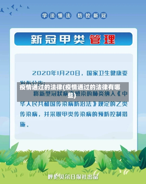 疫情通过的法律(疫情通过的法律有哪些)-第3张图片